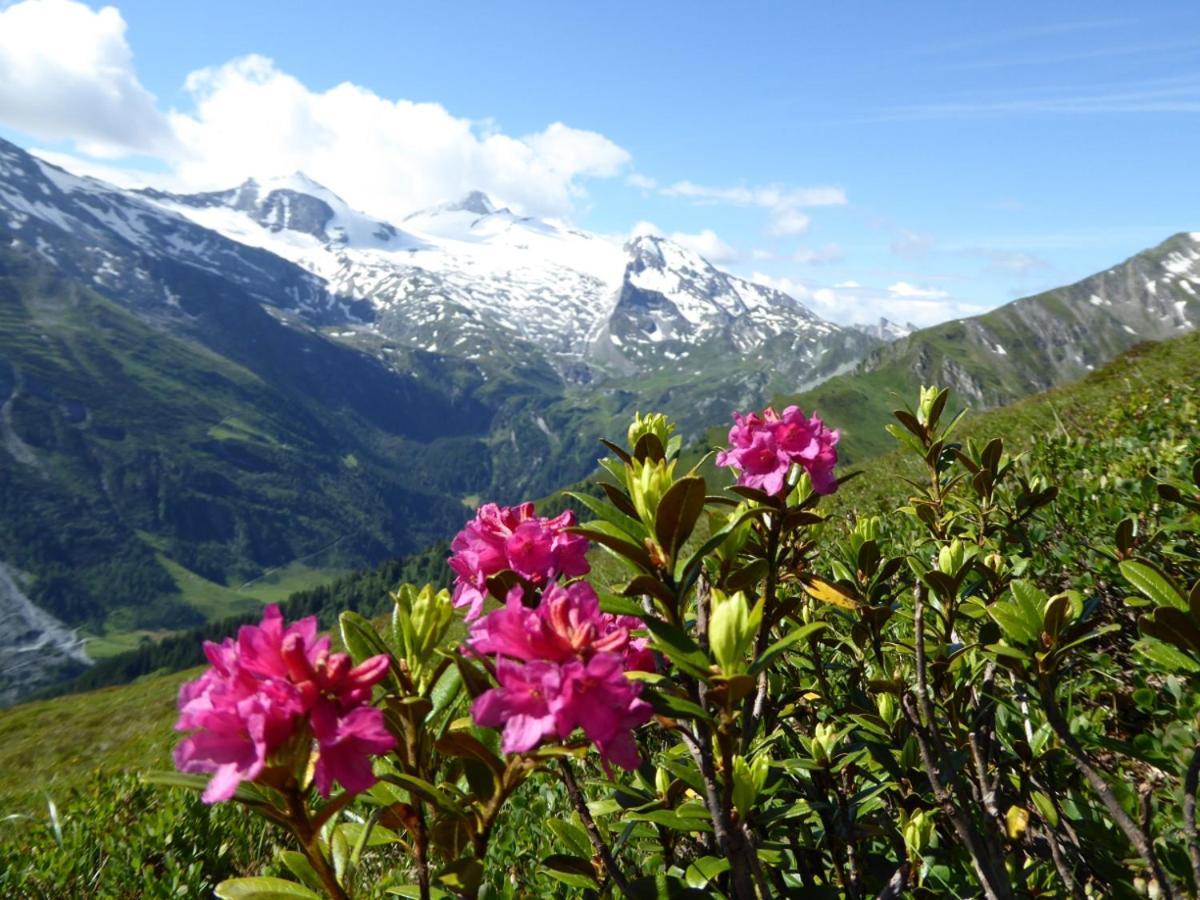 Ferienwohnung Alpenheim Tux Exteriör bild